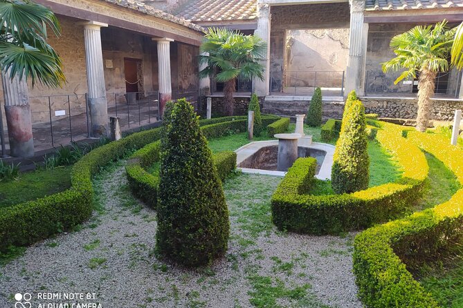 Guided Tours of Pompeii Excavations Historical and Cultural Itineraries - Key takeaways before you go