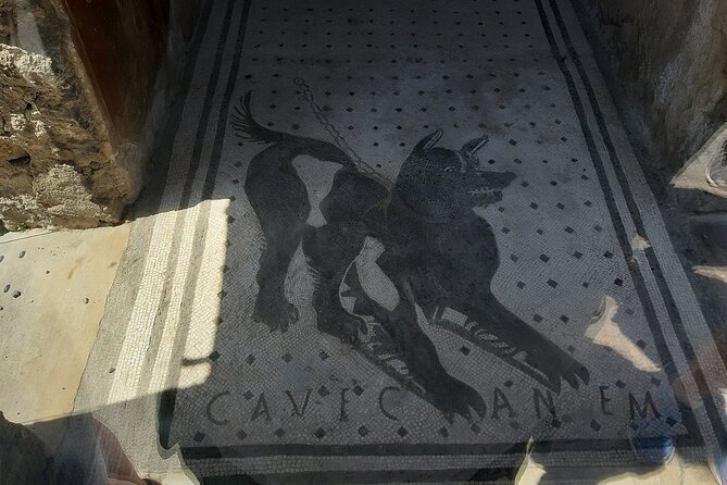Guided Tours of Pompeii Excavations Historical and Cultural Itineraries - Stop 2: Tempio di Venere and the sailors’ goddess—plus a modern art twist