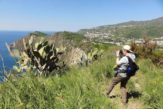 Half-day east coast hike in Ischia island with pick-up - Naples pickup and a low-stress start in Barano