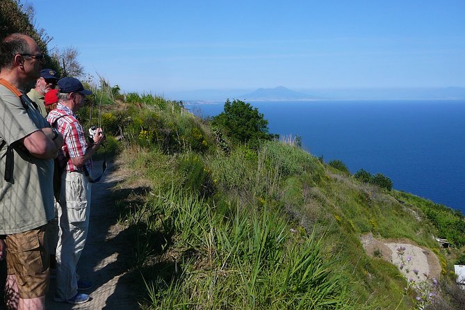 Half-day east coast hike in Ischia island with pick-up - The volcanic clues: what you’re actually learning as you walk