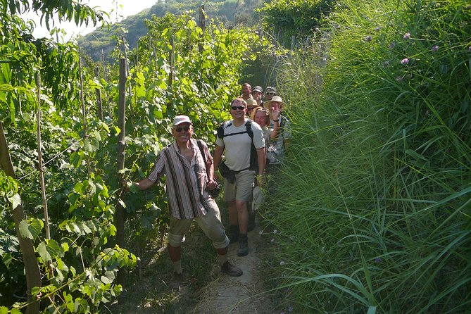 Half-day east coast hike in Ischia island with pick-up - Who this Ischia hike suits best