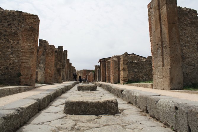 Half-Day Exclusive Private Tour of Pompeii and Herculaneum - Price and value: what $4,655.67 per person buys you