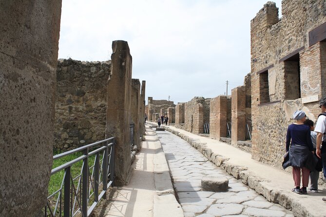 Half-Day Exclusive Private Tour of Pompeii and Herculaneum - Who this Pompeii and Herculaneum half-day tour suits best