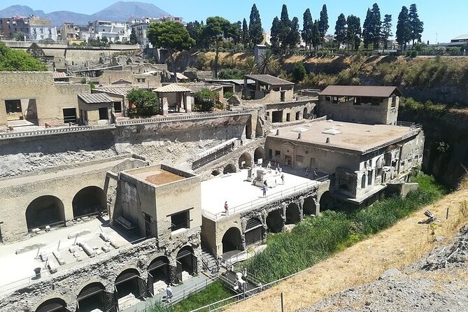 Half Day Excursion to Herculaneum from Naples with Lunch - Price and value: how the €16 ticket changes the math