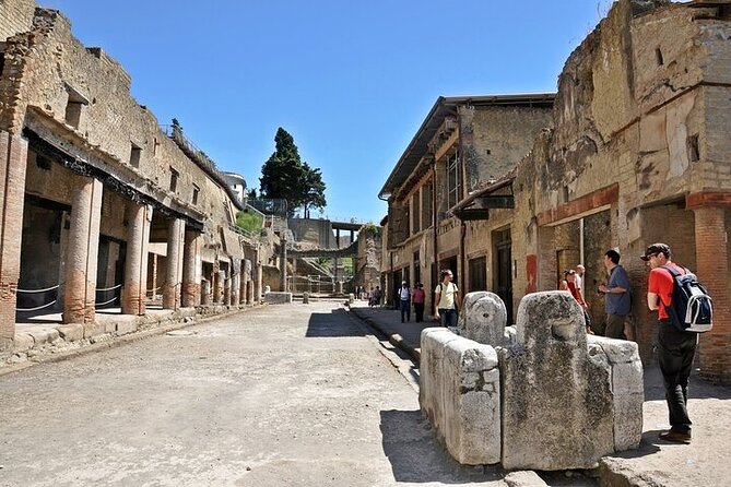 Half Day Excursion to Herculaneum from Naples with Lunch - Timing and pacing: who will love this schedule and who won’t