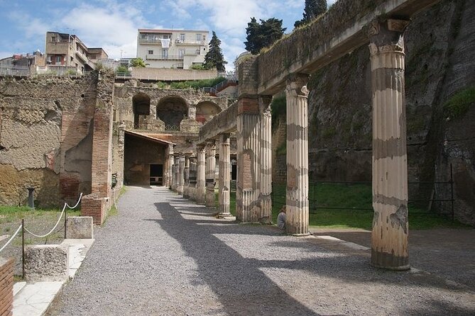Half Day Excursion to Herculaneum from Naples with Lunch - Practical tips to make the most of your hour in Herculaneum