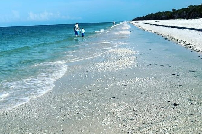 Half Day Keewaydin Shelling and Beach Adventure (Private) - Key Points Before You Go