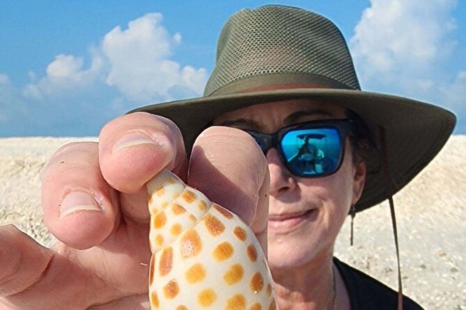 Half Day Keewaydin Shelling and Beach Adventure (Private) - Weather Matters More Than You Think