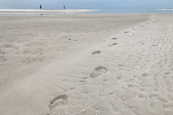 Half-Day Super Shelling Tour - Key things to know before you go