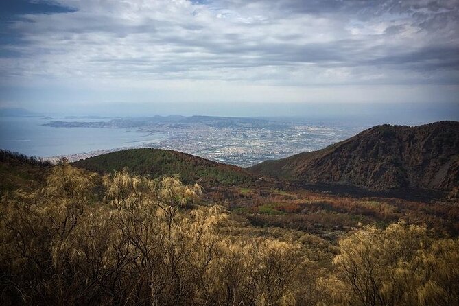 Half-Day Vesuvius Drive and Summit Hike from Naples with Lunch - Price and Value: Is $84.29 a Fair Deal?