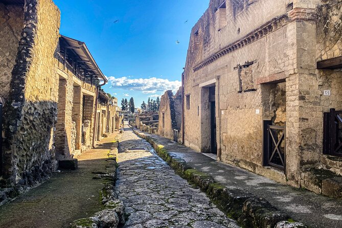 Herculaneum 3D Skip the line Walking Tour - Meeting at 2:30 pm: Get There Early, Then Relax