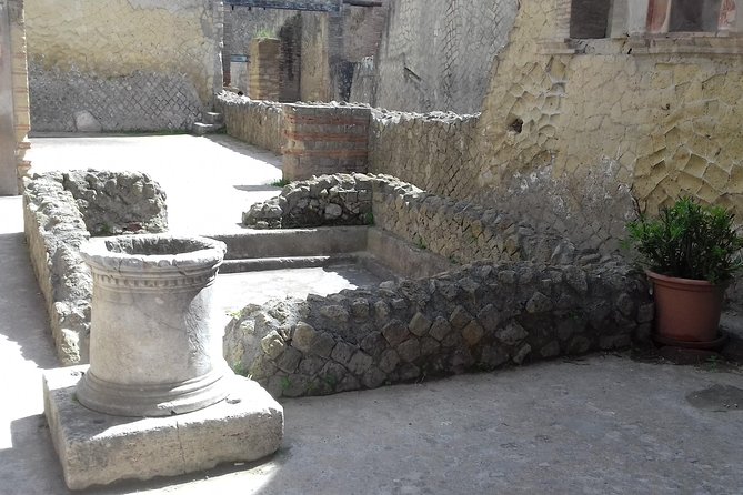 Herculaneum and the Amalfi Coast(Sorrento-Positano) - Price and value: what $436.34 really buys