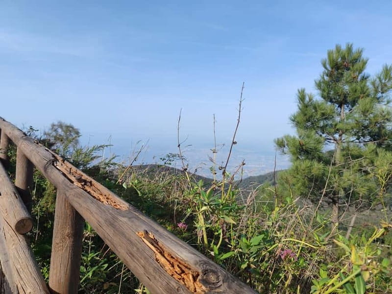 HERCULANEUM AND VESUVIUS: PRESTIGE TOUR FROM NAPLES - How This Tour Actually Feels in a Busy Naples Day