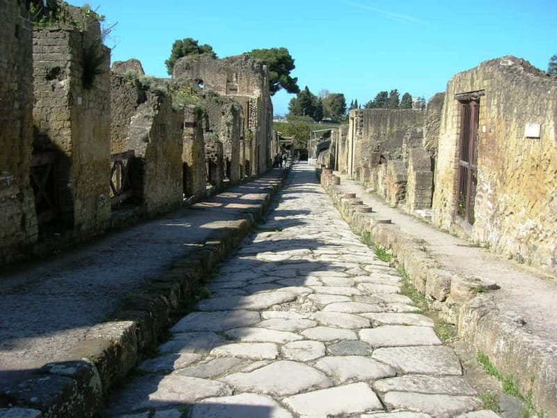 HERCULANEUM AND VESUVIUS: PRESTIGE TOUR FROM NAPLES - Naples Minibus Pickup: Choose a Meeting Point That’s Easy