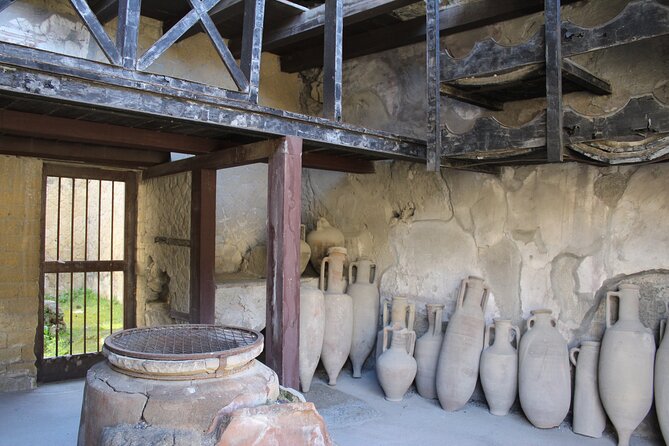 Herculaneum Private Guided Tour Led by a Local Top-rated Guide - All inclusive - Inside the city: amphitheater, main streets, and civic space