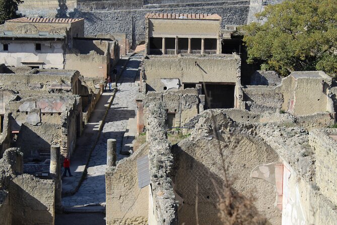 Herculaneum Private Guided Tour Led by a Local Top-rated Guide - All inclusive - How the guide can make or break the day (names to look for)