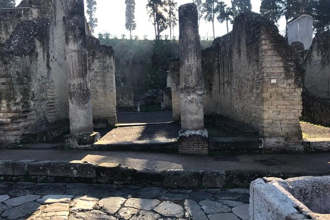 Herculaneum - Private Tour (skip-the-line admission included) - Time on the ground: what two hours actually feels like
