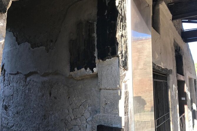 Herculaneum - Private Tour (skip-the-line admission included) - Price and value: $162.56 per person for a private, skip-the-line focus