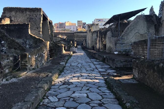 Herculaneum - Private Tour (skip-the-line admission included) - The private house circuit: what you’ll see and why it works