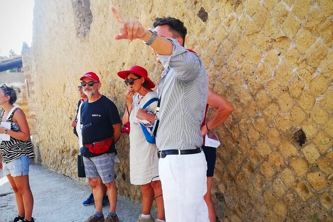 Herculaneum Private Tour with an Expert Archaeologist - Stop-by-stop: Parco Acheologico di Ercolano highlights