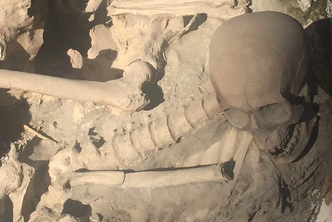 Herculaneum Private Walking Guided Tour 2 hours - Entering Herculaneum’s Roman world without the Pompeii chaos