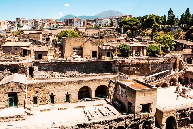 Herculaneum Ruins Private Half-Day Tour - Key highlights worth your attention