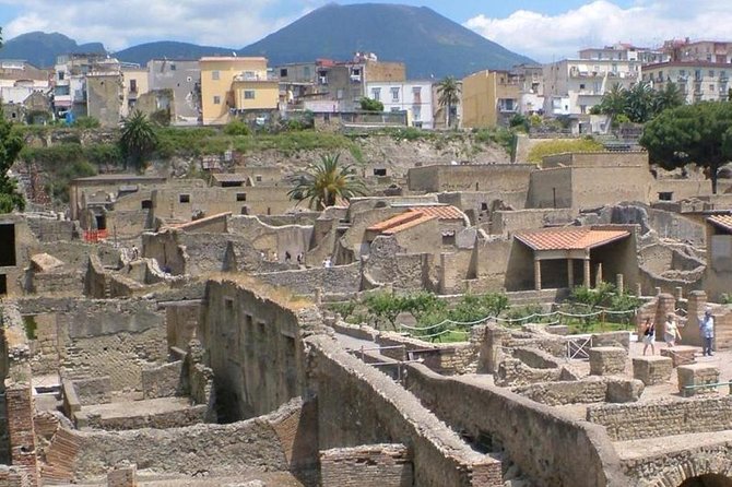 Herculaneum Ruins Private Half-Day Tour - Exploring Herculaneum on Your Own Without a Guide