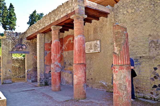 Herculaneum small group tour with an archaeologist - skip the line - Key things I’d bet on before you go