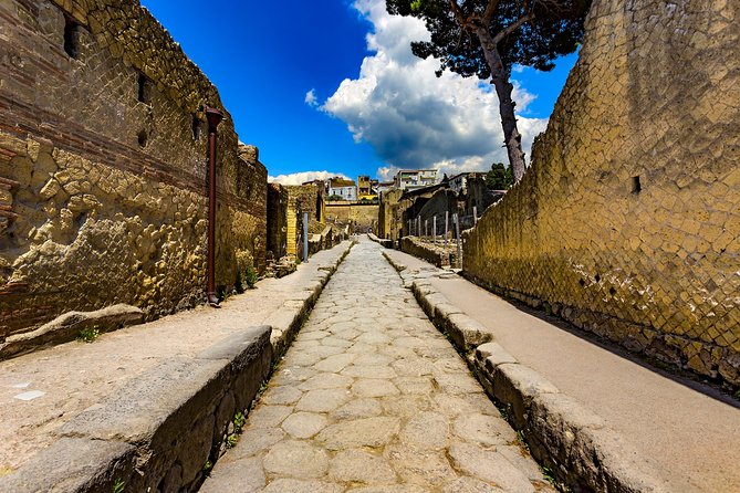Herculaneum small group tour with an archaeologist - skip the line - Who Should Book This Tour (and Who Might Not)