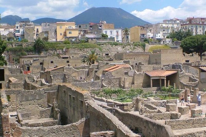 Herculaneum walking tour with a professional Guide - Why Herculaneum rewards your time (more than you expect)