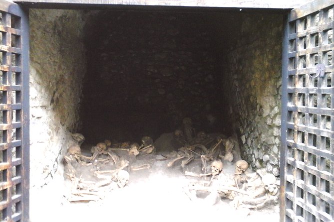 Herculanium guided tour - The Augusteum and Public Bath: Where Civic Life Shows Up