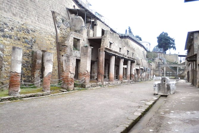 Herculanium guided tour - Private Houses: Samnite House and Neptune and Amphitrit