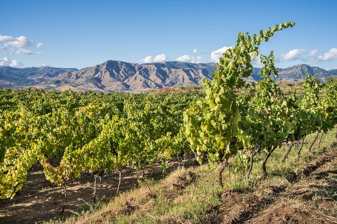 History & Local Wines: Amphitheater, Mitrium and Winery Visit - Switching gears to a Mount Vesuvius winery tasting
