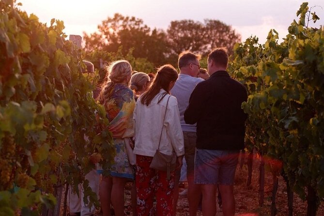 History & Local Wines: Amphitheater, Mitrium and Winery Visit - Weather and comfort: the small factors that affect your day