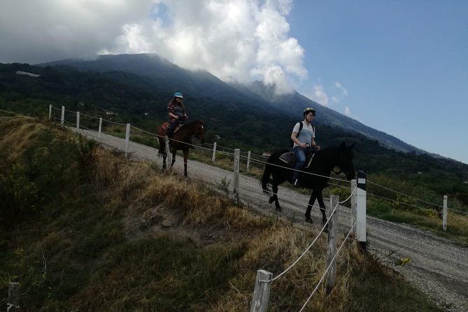 Horse Riding on Mount Vesuvius - Why the horses and ethics part feels real
