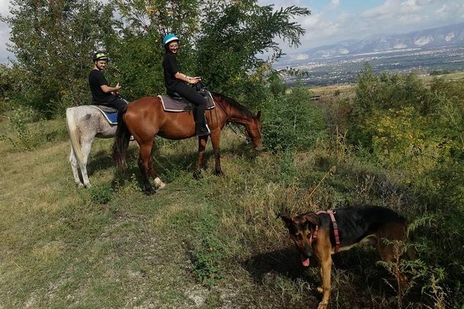 Horse Riding on Mount Vesuvius - Price and value: what $84.48 includes