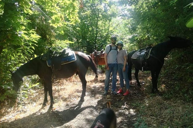 Horse Riding on Mount Vesuvius - The ranch inside the park: where the lesson starts