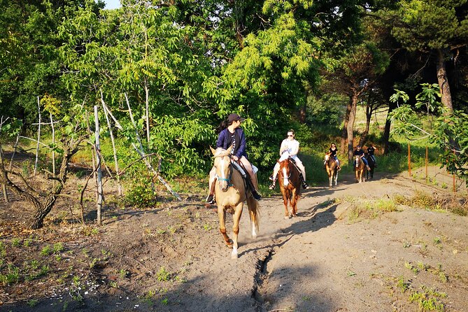 Horseback Riding on Vesuvius - Guides Who Keep It Personal: Walking Beside You for a Reason
