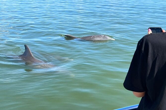 Island Paradise: Dolphin, Shelling, Birding Eco Boat Tour - Island Paradise on the Marco–Goodland Route: Your 2.5-Hour Game Plan