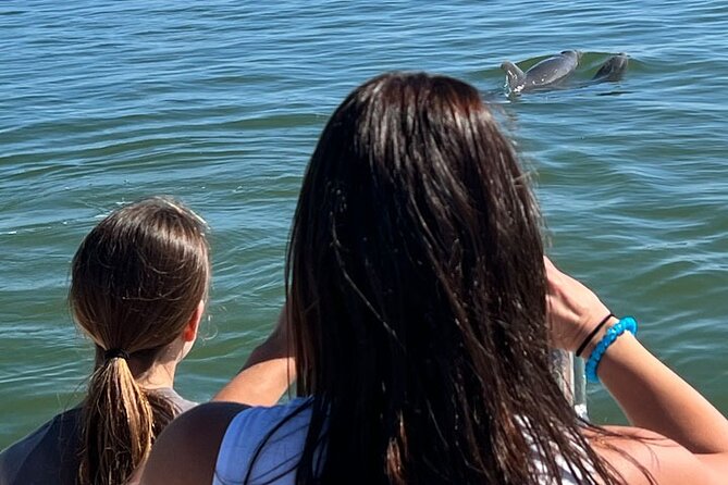 Island Paradise: Dolphin, Shelling, Birding Eco Boat Tour - Rookery Bay Mangroves: Birding Habitat Right Where the Water Feels Alive
