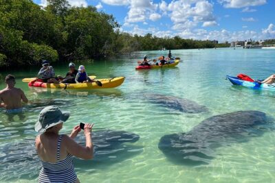 Island Tour by Pedal HOBIE / Kayak / SUP - Fort Myers Beach - The Guided Eco Route: Mangrove Tunnels, Gulf Water, and an Island Beach Stop