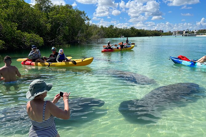 Island Tour by Pedal HOBIE / Kayak / SUP - Fort Myers Beach - The Guided Eco Route: Mangrove Tunnels, Gulf Water, and an Island Beach Stop