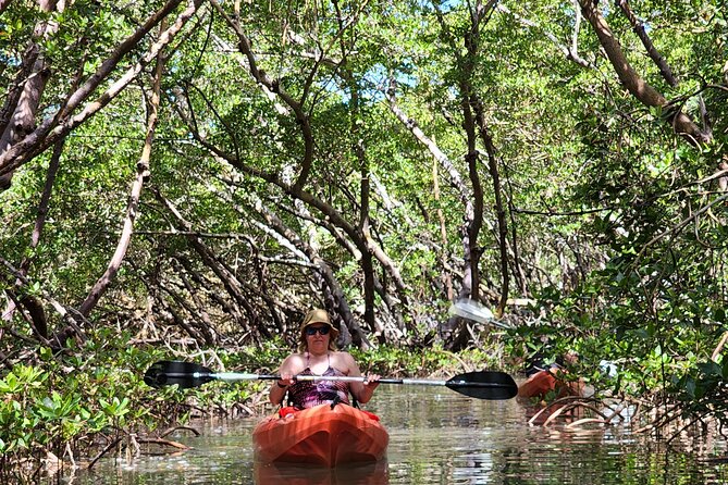 Kayak and SUP Rentals - Big Hickory Island - Fort Myers Beach, FL - Mangrove Tunnels to the Gulf: What the Route Actually Feels Like