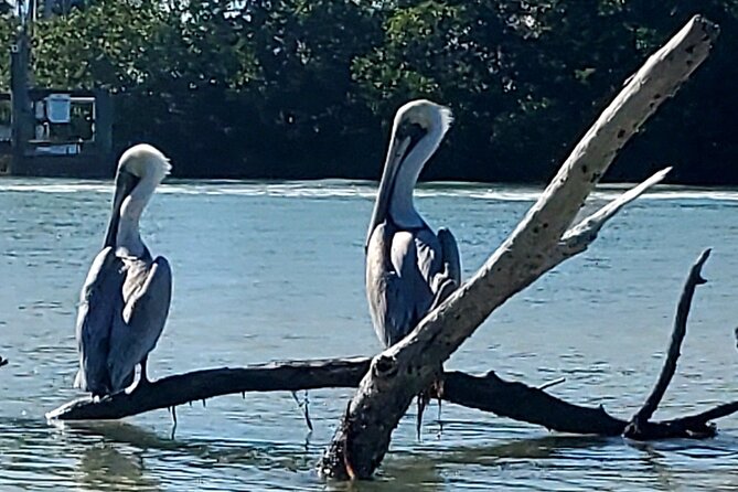 Kayak and SUP Rentals - Big Hickory Island - Fort Myers Beach, FL - Who This Kayak and SUP Rental Is Best For