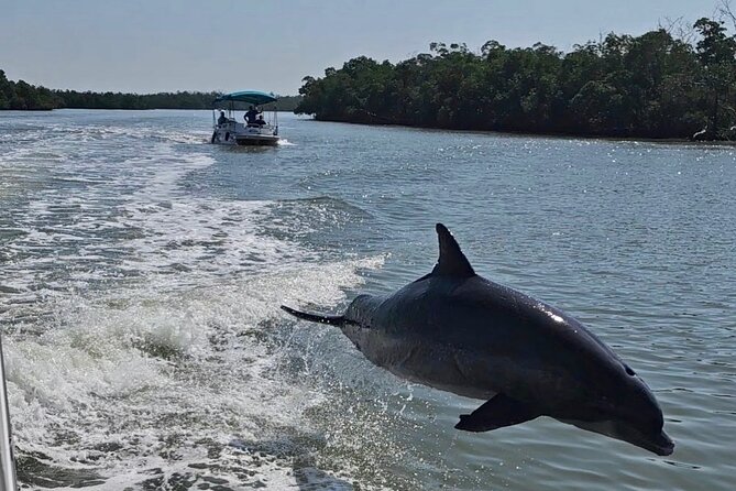 Manatee, Dolphin, and 10,000 Islands Eco Beach Tour by Boat - Key highlights worth planning around