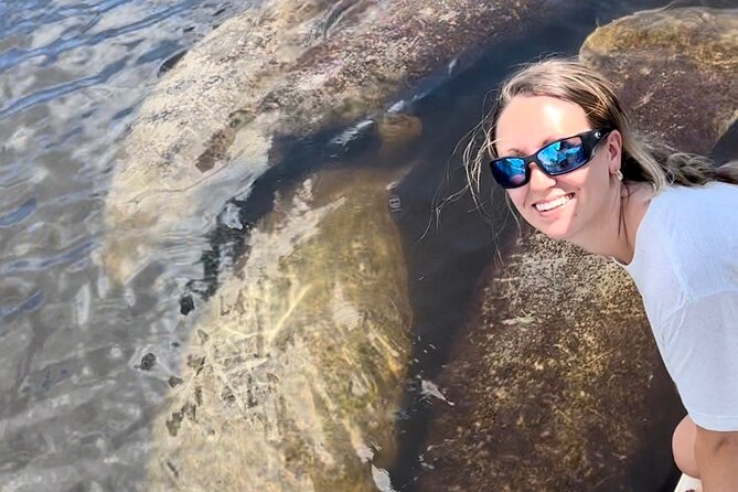 Manatee, Dolphin, and 10,000 Islands Eco Beach Tour by Boat - Price and value: is $129.99 per person worth it?
