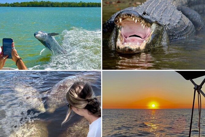 Manatee, Dolphin and 10,000 Islands Sunset Cruise! - Key Things I’d Bank On