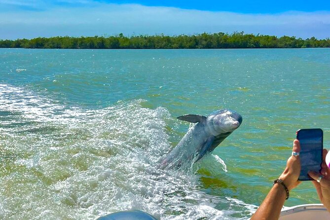 Manatee, Dolphin and 10,000 Islands Sunset Cruise! - The Everglades Boat Ride Toward the 10,000 Islands: Dolphins, Wake, and Birds