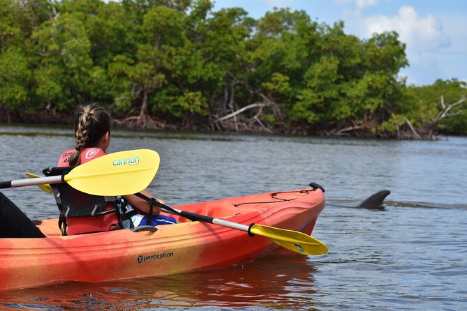 Mangrove Tunnels Kayak Tour (Photographer Included)- Marco Island - Naples Mangrove Tunnels: A calm break from the usual Florida day