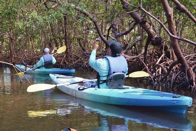 Mangrove Tunnels Kayak Tour (Photographer Included)- Marco Island - Kayaks, weight limits, and the paddling reality